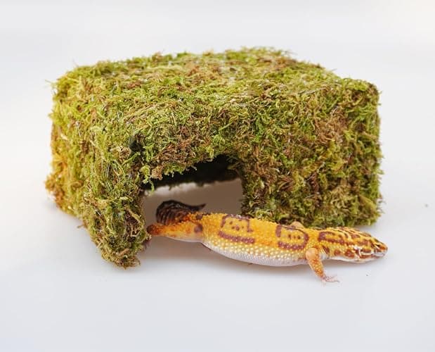 Jinymral Leopard Gecko Tank Accessories, Cute Reptile Hideout Cave, Essential Tank Terrarium Habitat Decor, Adjustable Toys Supplies thumbnail 5