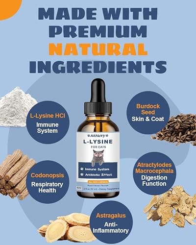 SANTKOL L-Lysine Supplement for Cats - Immune Support - 60ML Lysine for Feline Respiratory, Sneezing, Runny Nose, Eye Function - Natural Cat Antibiotic Drops - Roast Chicken Flavor thumbnail 5