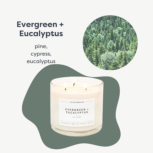 Calyan Wax Co. Evergreen & Eucalyptus 3 Wick Scented Candle - 43 Hour Burn - Luxury 3 Wick Soy Candles - Non Toxic Soy Wax Candles - Long Lasting Large Glass Jar Candle for Home - 14.9oz thumbnail 4