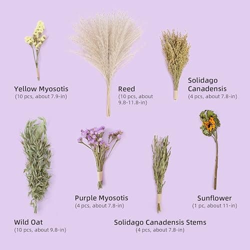 Niteangel Natural & Soft Hamster Bedding for Syrian Dwarf Hamsters Gerbils Mice Degus Bunny or Other Small-Sized Pet (Flower Version) thumbnail 3