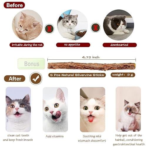 Natural Wood Cat Wand Toy with Ribbon Fish Teaser - 3pcs, 16 Inch, Indoor Cat Exerciser & Playing Kitten Toy, Bonus 5pcs Catnip Sticks for Teeth Cleaning thumbnail 3