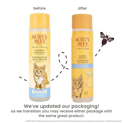 Burt's Bees for Pets Tearless Kitten Shampoo with Buttermilk and Honey, 99% Natural Origin Gentle Cat Shampoo for Sensitive and Itchy Skin, pH Balanced and Fragrance-Free, 10 Fl Oz thumbnail 2