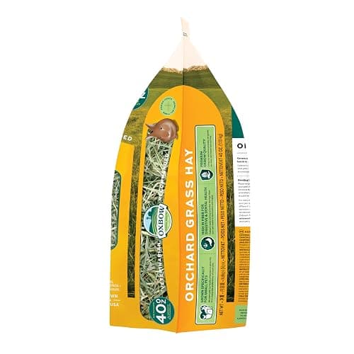 Oxbow Orchard Grass Hay for Small Pets – All-Natural Long Strand Fiber Hay for Rabbits, Guinea Pigs, Chinchillas, and Hamsters – Supports Digestive Health and Enrichment – 40 oz Bag thumbnail 17