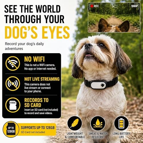 TOYDYLAN Cat Collar Camera for Cats thumbnail 8