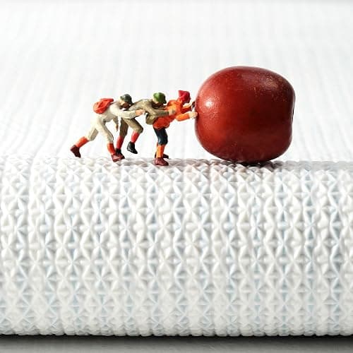 Ankah Shower Rug Bath Mat Forest Series Cartoon Design Bathroom Rug, Fluffy, Soft, Non-Slip, Durable, Absorbent Bath Rug, Irregular Plant Shaped Door Mat and Carpet, 19.7" x 31.5", Peach Blossom thumbnail 5