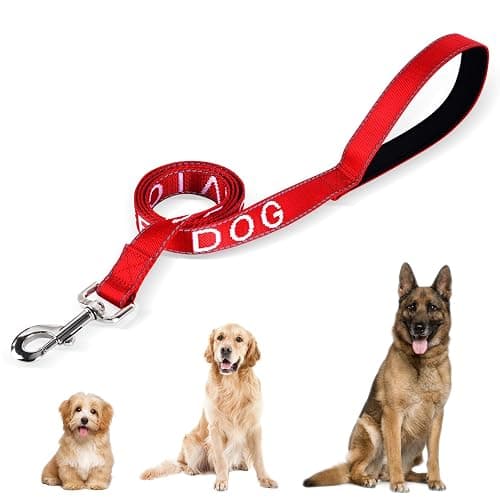 YeeBeny Service Dog Leash Emotional Support Leash Red 0.94 Width | service dog collarwith Neoprene Handle and Reflective Lettering, Service Dog Stuff for Vest for Harnesses, Vests or Collars - Image 1