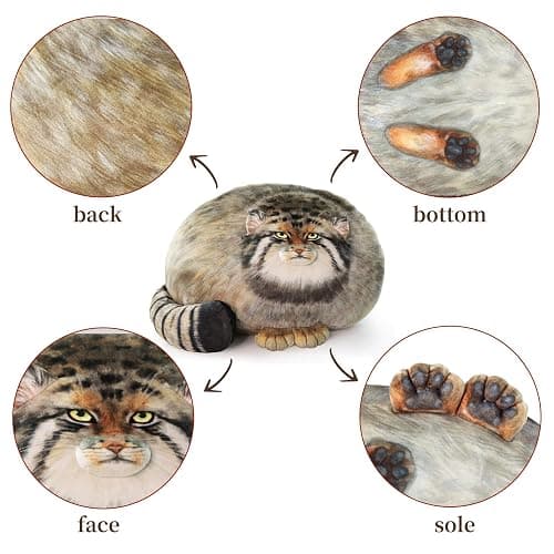 Sew Butiful Steppe Cat Plush 35cm/14inch Pallas Cat Stuffed Animal, Cute Plushies for Girls, Soft Plush Pillow, Throw Pillow Doll Decoration Doll Birthday Gift for Kids Boys Party thumbnail 3