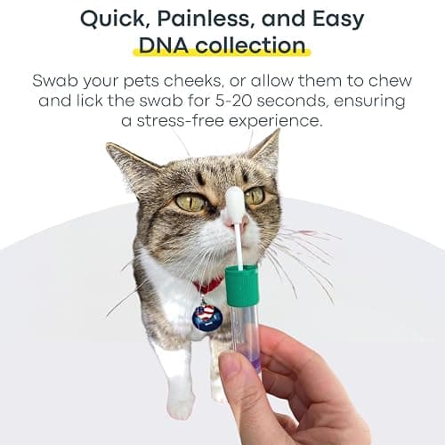 Basepaws Cat DNA Test Kit - Comprehensive Breed, Health and Dental Analysis Across 114 Traits for Accurate and Easy-to-Use Genetic Insights - Cat Breed + Health DNA Test - Basic thumbnail 5