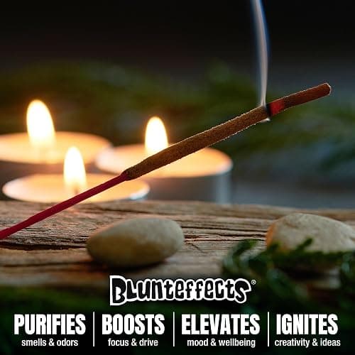 Blunteffects Hand-Dipped Incense Sticks - Premium 144-Pack Variety Set, 12 Different Scents, 11" Long, USA-Made Aromatherapy with Long Burn Time (12 Pack, 144 Total Sticks) thumbnail 4