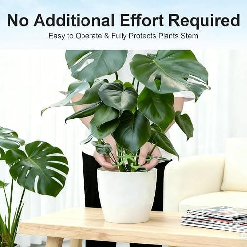 Tokyzexi 20PCS Plant Stem Supports for Monstera, 4 Sizes for Indoor Plants | Monstera Plant Supports for Thriving Growth, Stem Support for Climbing Indoor Plants, Reusable Green Plastic Accessories thumbnail 6