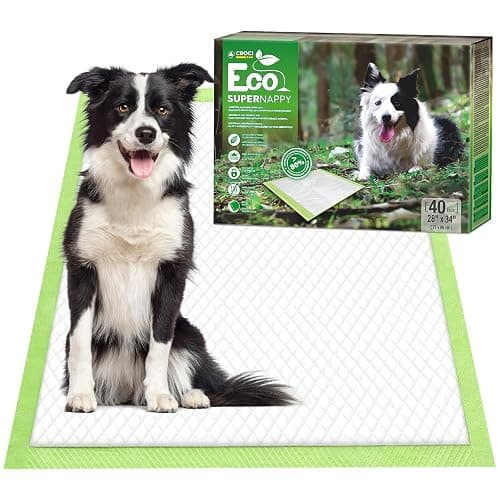 CROCI Puppy Pads 28x34in ECO Green Dog Pee Pads , Plant-Based Dogs Pads Absorbs Up to 7 Cups of Liquid, 5-Layer Leak-Proof & Quick Drying Pee Pads for Dogs, Disposable (40 Counts) - Image 1