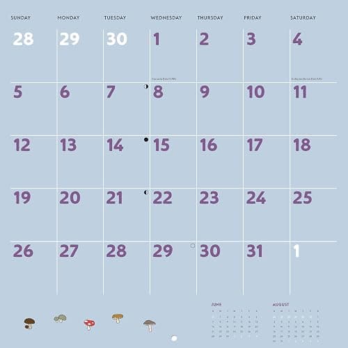 Studio Ghibli My Neighbor Totoro 2026 Wall Calendar thumbnail 11