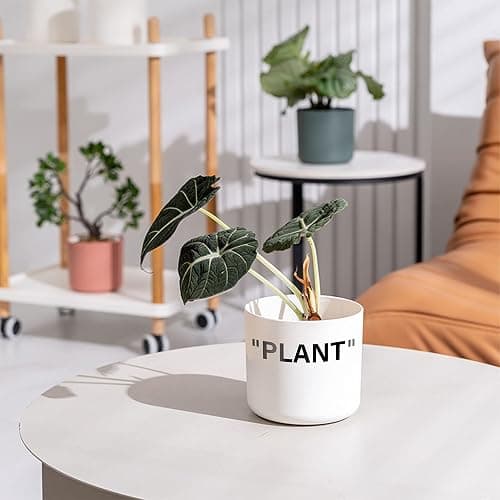 TwoDays Off-White Inspired Sneaker Planter, Hypebeast Room Decor, Small 5 Inch Cylinder White Plastic Indoor Plant Pot with Built in Drainage Hole, Mini Flower Pot, Sneakerhead Gift. thumbnail 4