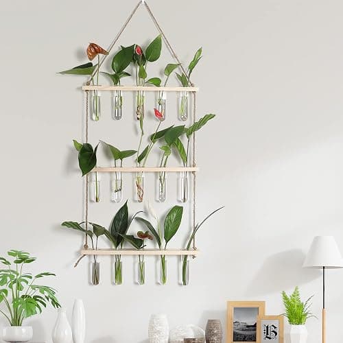 YIBOT Propagation Stations,3 Tiered of Propagation Tubes with Wooden Stand,Mini Glass Test Tubes Vase,Plant Terrarium for Hydroponic Home Garden Office Decor, Gardening Gift for Women Plant Lover thumbnail 8