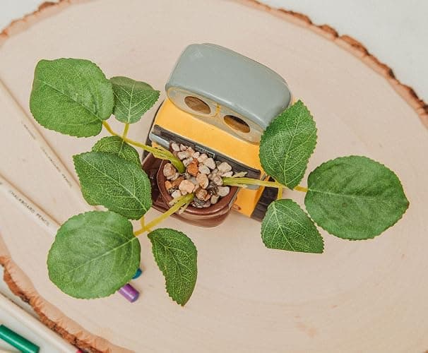 Silver Buffalo Disney Pixar Wall-E 4-Inch Ceramic Mini Planter with Artificial Succulent | Cute Small Flower Pot, Faux Indoor Plant for Desk Shelf thumbnail 5
