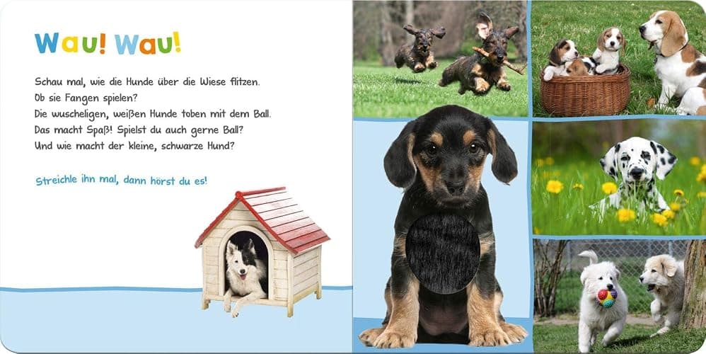 Hör mal rein, wer kann das sein? – Lieblingstiere: Streicheln und hören | Hochwertiges Pappbilderbuch mit 5 Sounds und Fühlelementen für Kinder ab 6 Monaten thumbnail 5