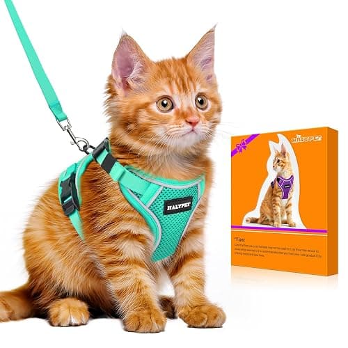 Halypet Cat Harness and Leash Set [MAX Safety 4th-Gen Upgrade] Escape Proof Adjustable Cat Leash Comfortable Soft Vest Easy to Wear Kitten Harness with Reflective Strip for Cats Walking, M Green - Image 1