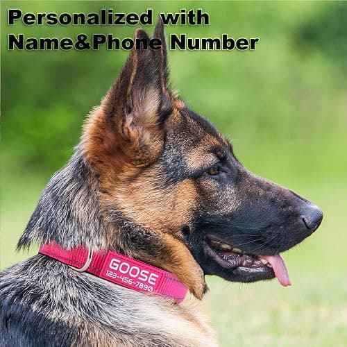 Personalized Dog Collars Custom with Pet Name and Phone Number, Soft Neoprene Padded Reflective Nylon Collar, 4 Adjustable Sizes - for Boy, Girl Dogs thumbnail 2
