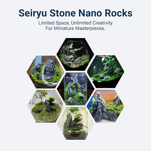 ChaoLeHo Natural Rocks Seiryu Stones Aquariums Stones for Aquascaping, Aquariums, Terrariums, Vivariums Decorative Stone,Reptile Enclosures,Paludariums,and Gardens-10lb（2 to 7 inch） thumbnail 7