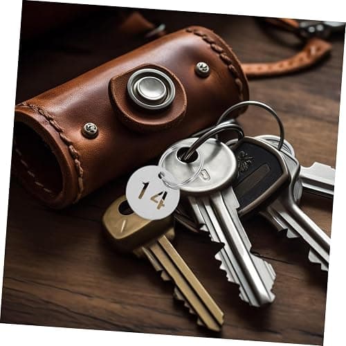NUOBESTY 1-20 Stainless Steel Numbers Tags, Numbered Keychain Tags with Key Rings, Stainless Steel Keychains with Rings for Dormitory Keys House Lockers thumbnail 8