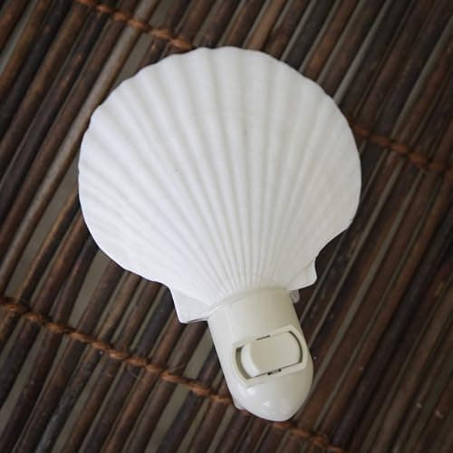 Tumbler Home Real Sea Shell Beach Night Light for Coastal Beach Home Decor | Seashell decor for beachy room or coastal bathroom thumbnail 4