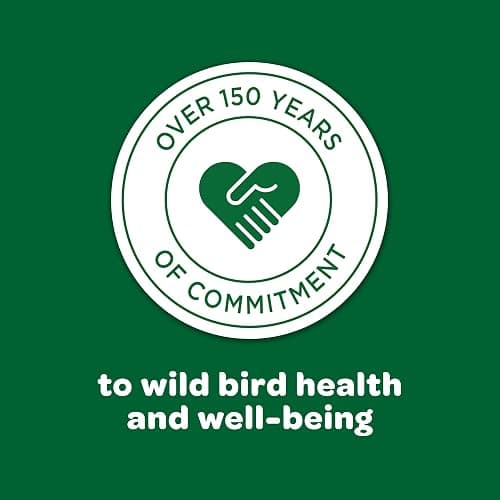 Kaytee Wild Bird Basic Seed, 10 lb - 10 Pound (Pack of 1) thumbnail 12