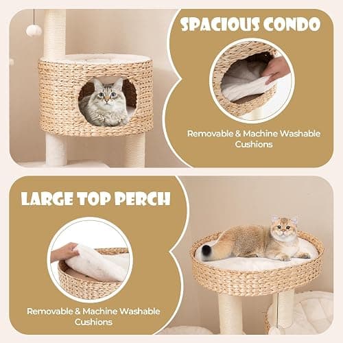 PETSITE 50 inch Cattail Cat Tree Tower, Multi-Level Cat Tower with Sisal Scratching Posts, Cat Condo, Cat Basket, Ladder, and Top Perch with Removable Soft Cushion, Modern Cat Tree for Indoor Cats thumbnail 4