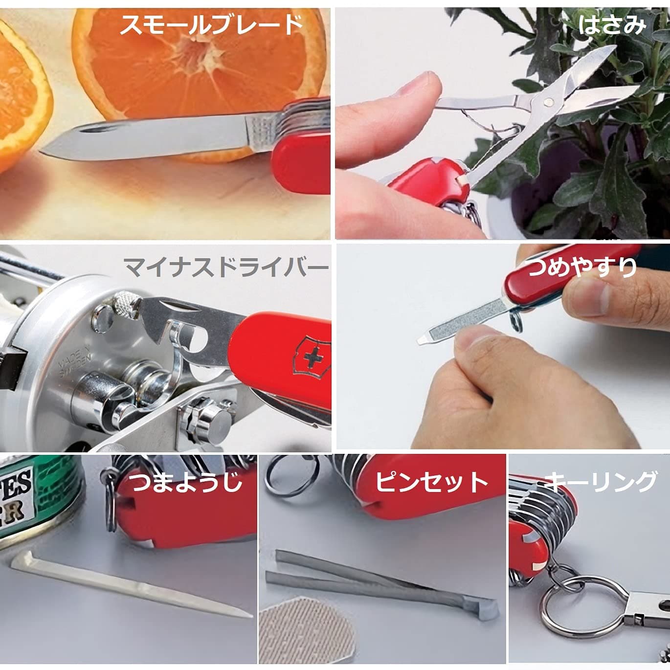 Victorinox Swiss Army Pocket Knife Classic SD with 7 Functions, Mango Tango - Mango Tango thumbnail 5