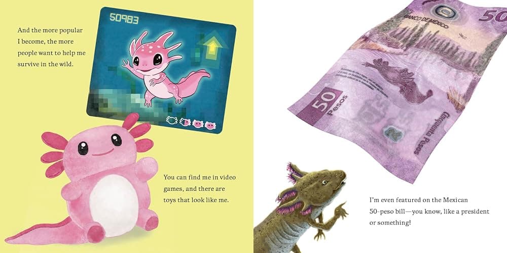 Hello, I'm an Axolotl (Meet the Wild Things, Book 4) - Hardcover thumbnail 5