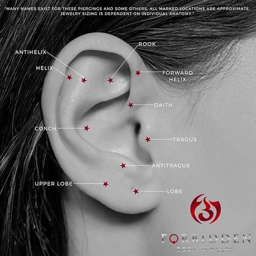 16g 8mm Daith Earring, Eyebrow Ring and Rook Piercing Jewelry, Titanium IP Double Spike Barbell thumbnail 5