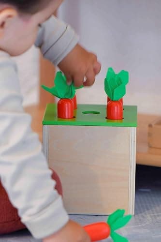 Adena Montessori 3 for 1 Wooden Montessori Play Kit Baby Toys,includes Matchstick Color Drop Game,Carrot Harvest Game and Coin Box,Learning Toy for Kid 1,2,3 Year Old,Girl Boy Gift for Baby 6-12 Month thumbnail 2