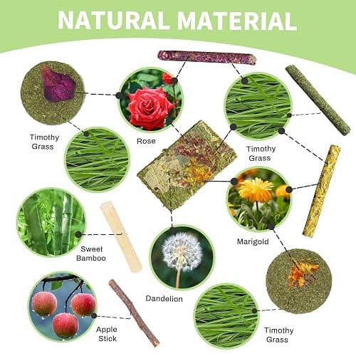 50-60 PCS Natural Rabbit Chew Toys, Treats, Timothy Sticks, Apple Sticks, Sweet Bamboo for Guinea Pig, Hamster, Chinchilla, Rat, Small Animals thumbnail 2