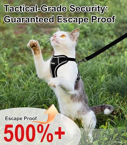 Cat Harness and Leash for Walking Escape Proof Soft Adjustable Cat Leash Breathable Comfortable Vest Easy to Wear Kitten Harness for Outdoor Travel Black XS thumbnail 2