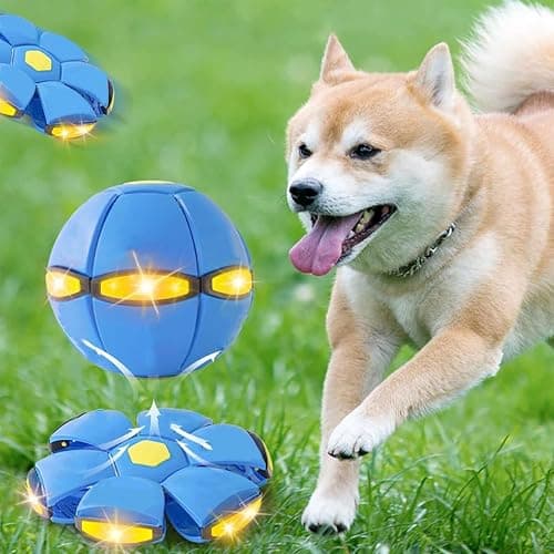 Genérico Pelota Saltarina para Niños, Gracioso Metaball Mágico, Platillo Volador Magic Metaball con 6 Luces, Children's Bouncing Ball para Interacción Entre Padres E Hijos, (Green) thumbnail 5