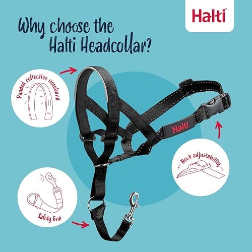 Halti Headcollar | Size 3, Black | Training Collar for Medium Dogs | Stop Your Dog Pulling on the Leash | Adjustable, Reflective & Lightweight with Padded Nose Band thumbnail 3