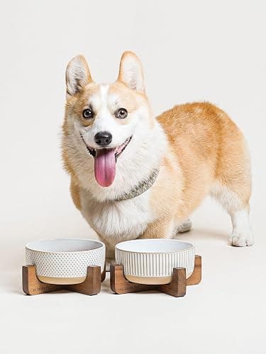 LE TAUCI PET Ceramic Dog Bowls for Medium Small Dogs - 4 Cup Medium Dog Food and Water Bowls with Wood Stand, Cute Pet Dishes Set of 2, Lines+Dot thumbnail 7