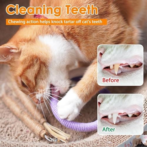 Tocirelo Cat Chew Rope Toy - 6Pack Cat Chew Toy for Teeth Cleaning, Interactive Kitten Teething Toys to Transfer Chewing from Wires, Cotton String with Natural Silvervine Ball thumbnail 3