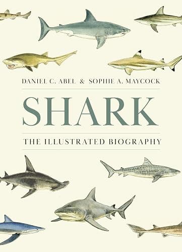 Shark: The Illustrated Biography - Image 1