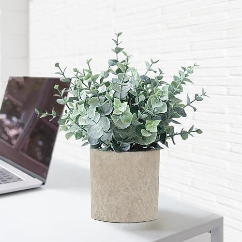 MIXROSE 2 Pack Fake Plants Eucalyptus Small Potted Artificial Plants Indoor Greenery for Shelf Desk Home Bathroom Modern Farmhouse Living Room Coffee Table Decor thumbnail 5