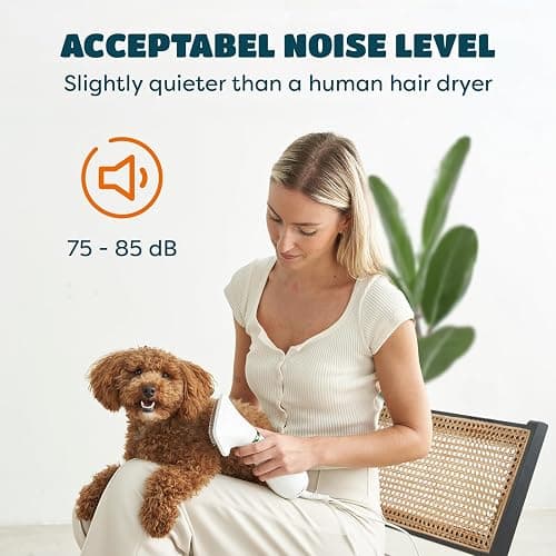 2-in-1 Dog Dryer with Slicker Brush for Small Dogs and Cats, Pet Hair Dryer, Dog Blow Dryer for Grooming with 300 Watts, 75-85 dB, Adjustable Temperature, Overheat Protection thumbnail 5