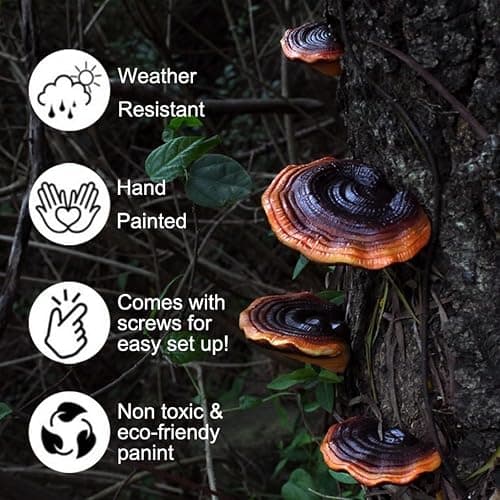 Set of 5 Mushroom Wall Shelves - Small Floating Shelves for Home Decor, Kitchen, Bedroom | Cute Resin Mushroom Shelf, Cottagecore & Reptile Gecko Habitat Accessory thumbnail 4