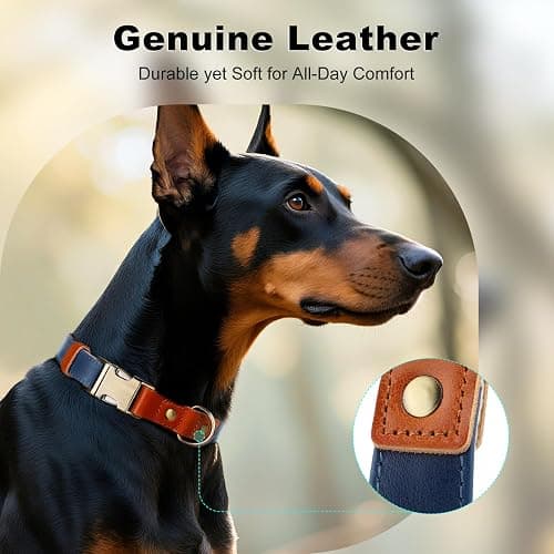 Plutus Pet Genuine Leather & Hemp Dog Collar – Adjustable Heavy Duty Pet Collar with Quick Release Metal Buckle, Soft & Stylish for Puppy and Small, Medium, Large Dogs (Royal Blue, M) thumbnail 3