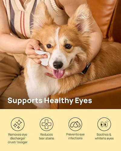 HICC PET Eyes Wipes for Dogs & Cats, Vet-Recommended Dog Eye Infection Treatment, Gently Remove Tear Stain, Debris, Discharge - Hypoallergenic Pet Eye Wash Cleaner for Eyes, Wrinkle, Face - 100pcs thumbnail 2