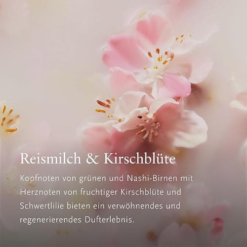 RITUALS The Ritual of Sakura Autoparfum Geschenkset – Enthält ein Autoparfum, eine Packung Autotücher und einen wiederverwendbaren Holzhalter mit 2 nachfüllbare Lufterfrischern thumbnail 4