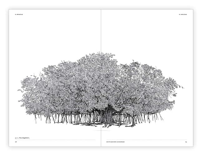 The Architecture of Trees thumbnail 15