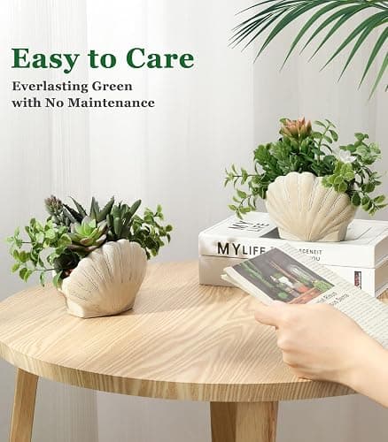 Lewondr Fake Plants Set of 2, Assorted Faux Succulents Artificial Plants with Sea Shell Pots, Artificial Greenery in Coastal Beach Decor, Ocean Seashell Series for Home Bedroom Beach Theme Party thumbnail 5