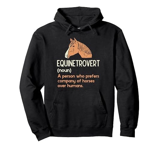 Fun Horse Lover Humor | Funny Horse Definition Pullover Hoodie - Image 1