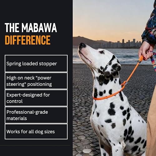 Dog Anti-Slip Leash 5FT with Metal Stopper - Durable No-Pull Training Lead for Small, Medium & Large Dogs - Comfortable Handle Nylon Rope, Tangle-Free Pet Walking Leash (Beige, 5.6FT) thumbnail 5
