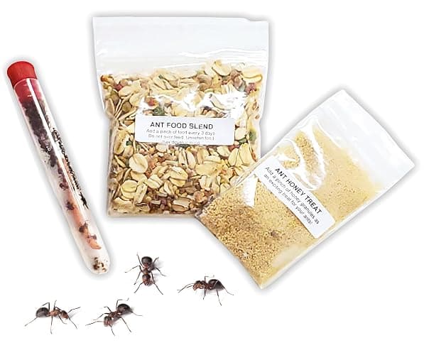 Nature Gift Store 1 Tube of Live Ants Plus Ant Food and Honey Treat: Ant Habitat Kit Refill - Image 1