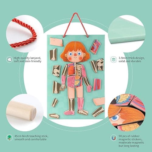 Human Body Puzzle for Kids Toddlers 90PCS Magnetic Boy Girl Anatomy Play Set Body Parts Organs Muscles Skeleton and Bones Wooden Puzzle Toys Aged 3+ Educational Learning Preschool Toys thumbnail 6